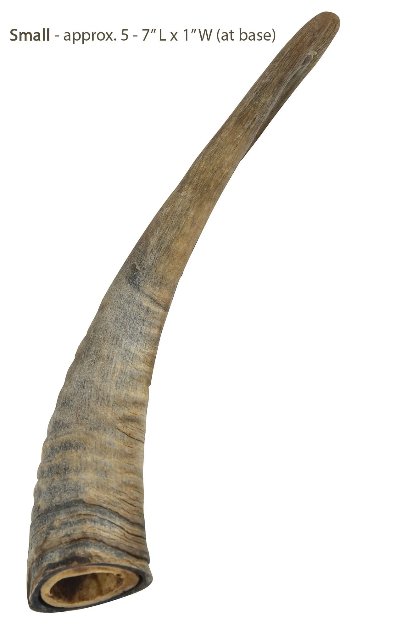 Gobi Goat Horn Natural Dog Chew - Buy Pet Shop