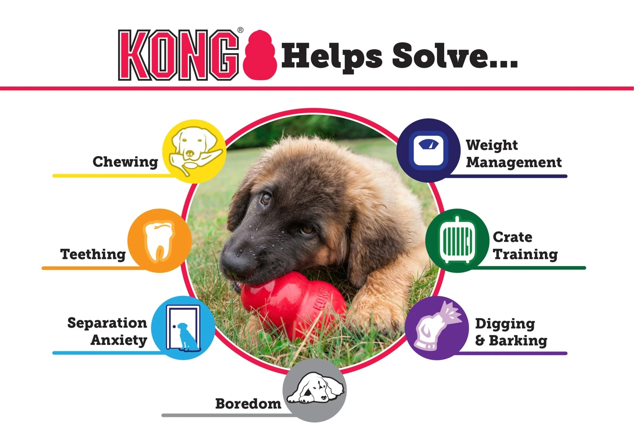 Puppy KONG - Buy Pet Shop