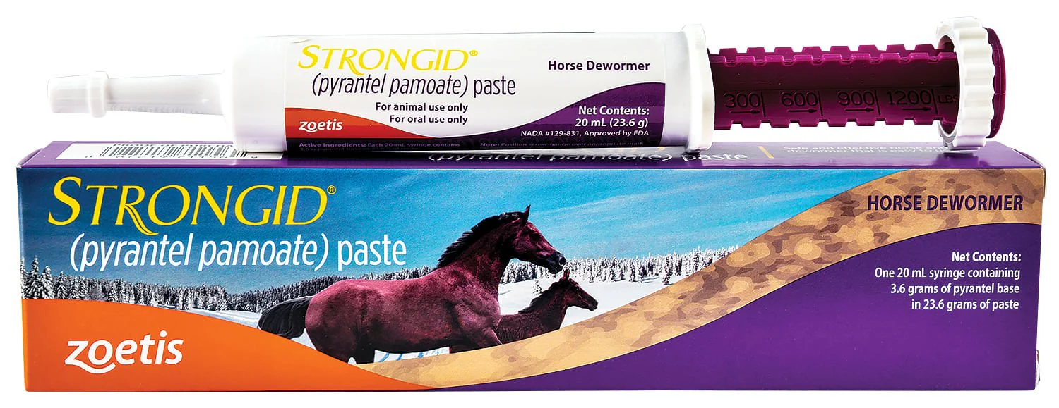Strongid (pyrantel pamoate) Horse Dewormer - Buy Pet Shop