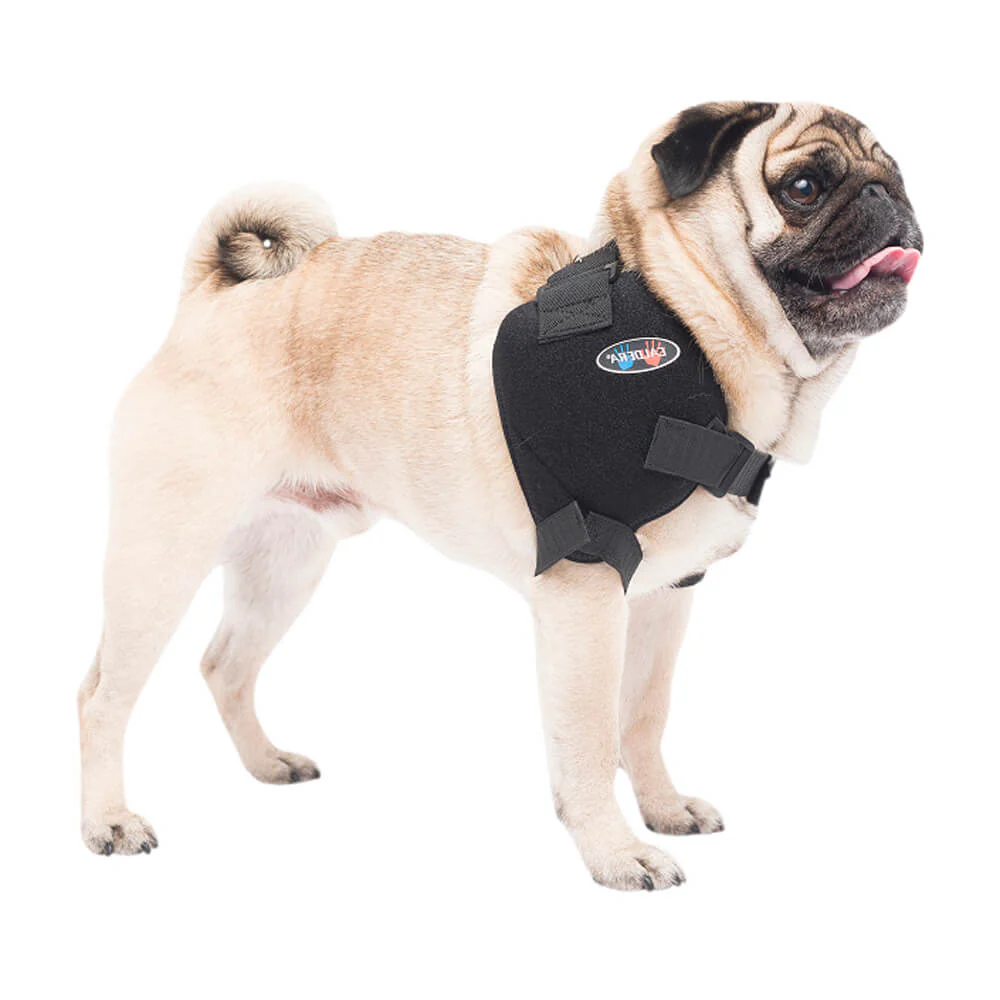 Caldera Pet Therapy Shoulder Wrap with Therapy Gel - Buy Pet Shop