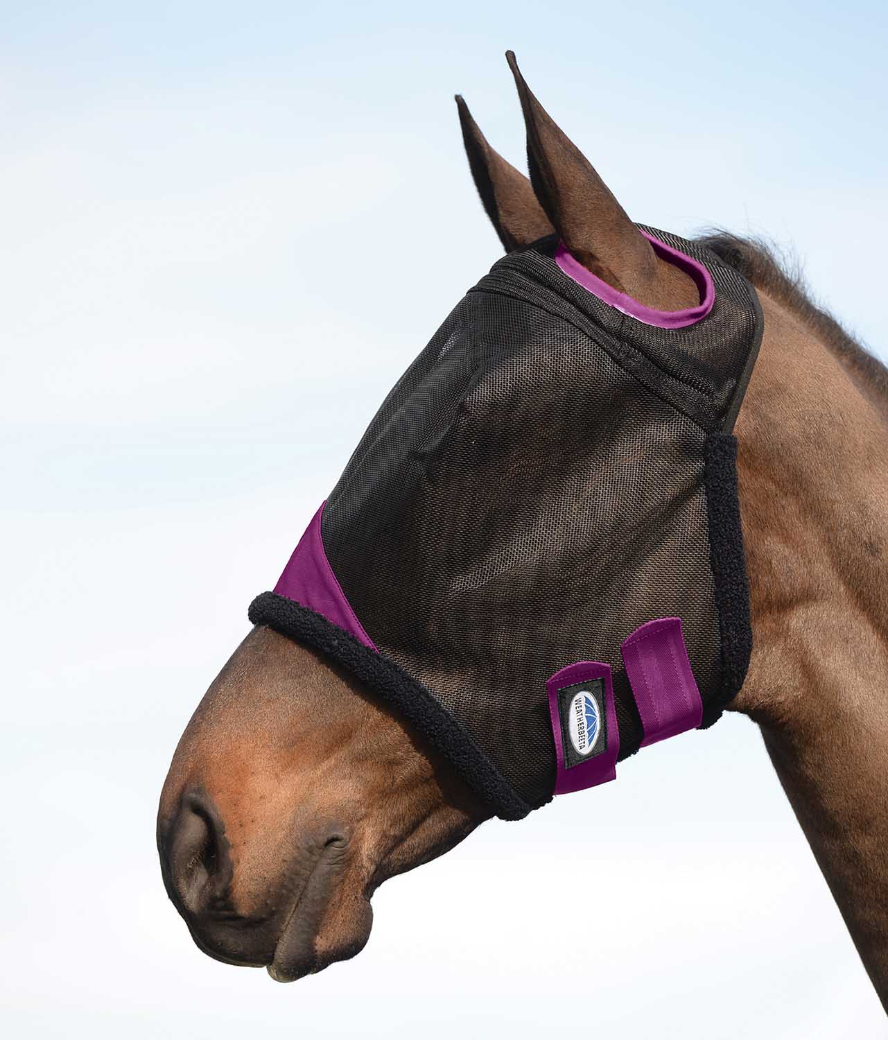 Weatherbeeta ComFITec Durable Mesh Horse Fly Mask, Black/Purple - Buy Pet Shop
