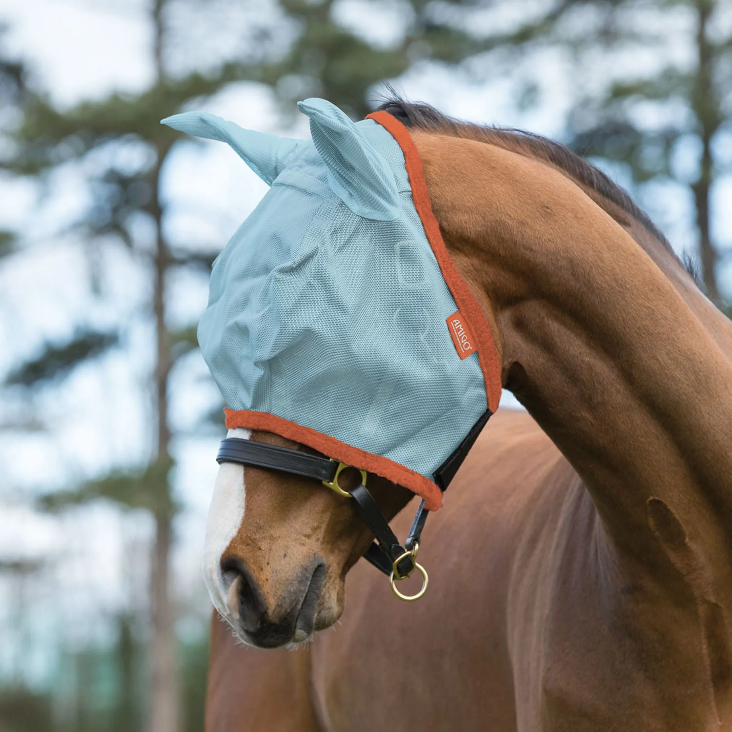 Amigo Horse Fly Mask with Ears, Aqua/Orange - Buy Pet Shop