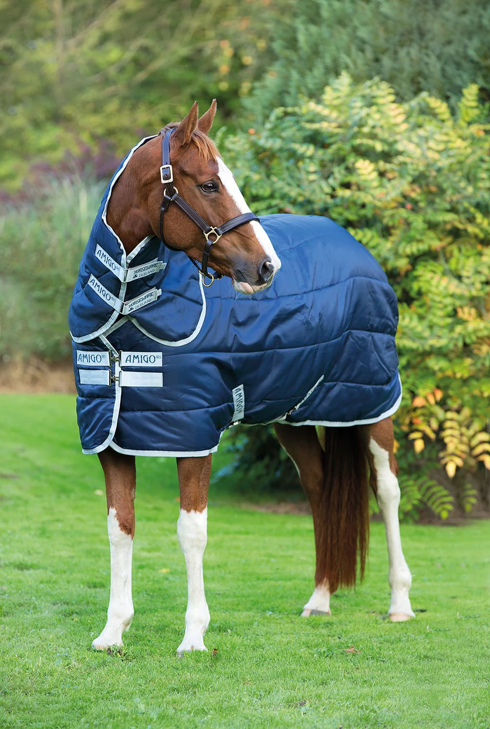 Amigo Insulator Plus Horse Stable Blanket with 200 gram fill - Buy Pet Shop