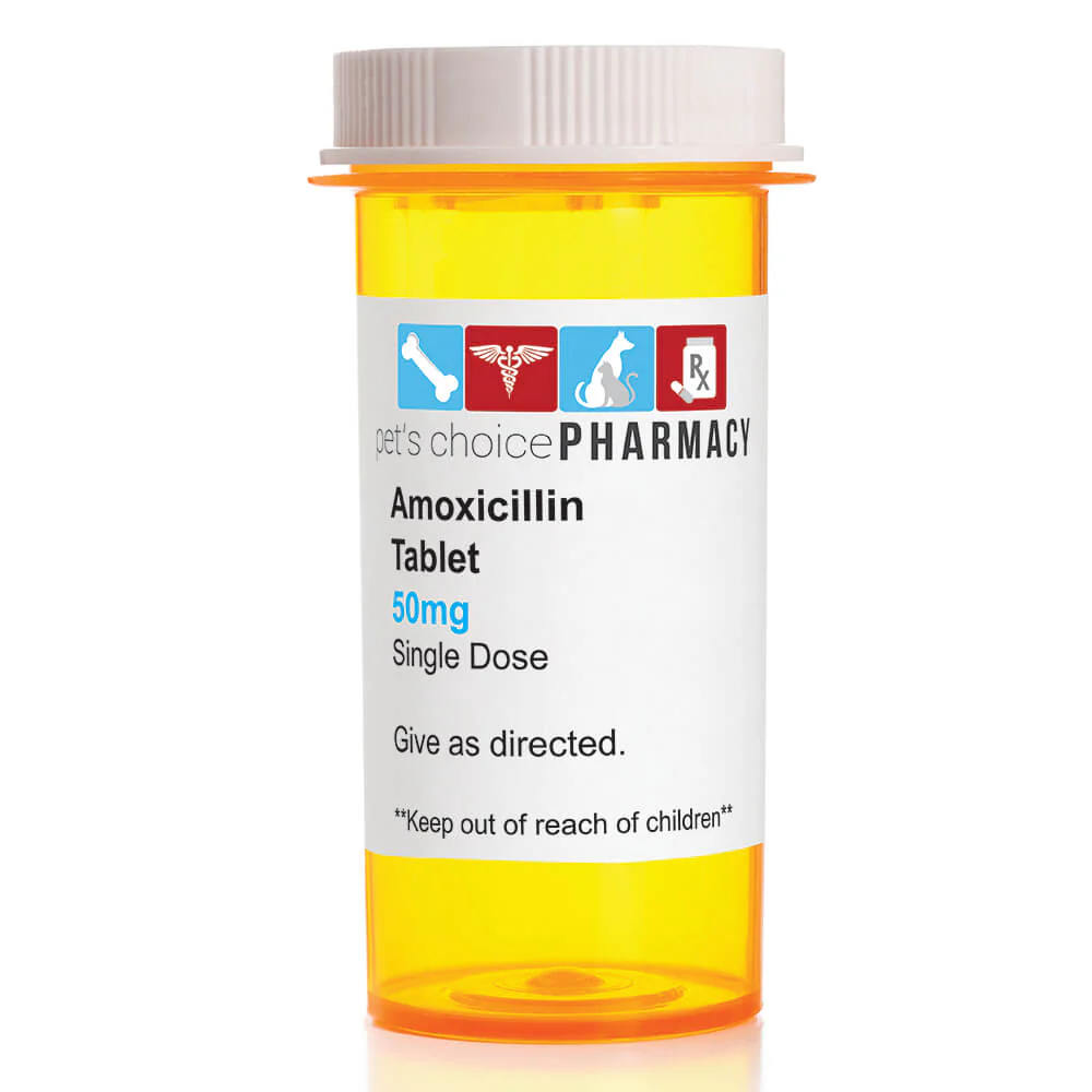 Rx Amoxicillin (Generic) Tablets for Dogs & Cats - Buy Pet Shop