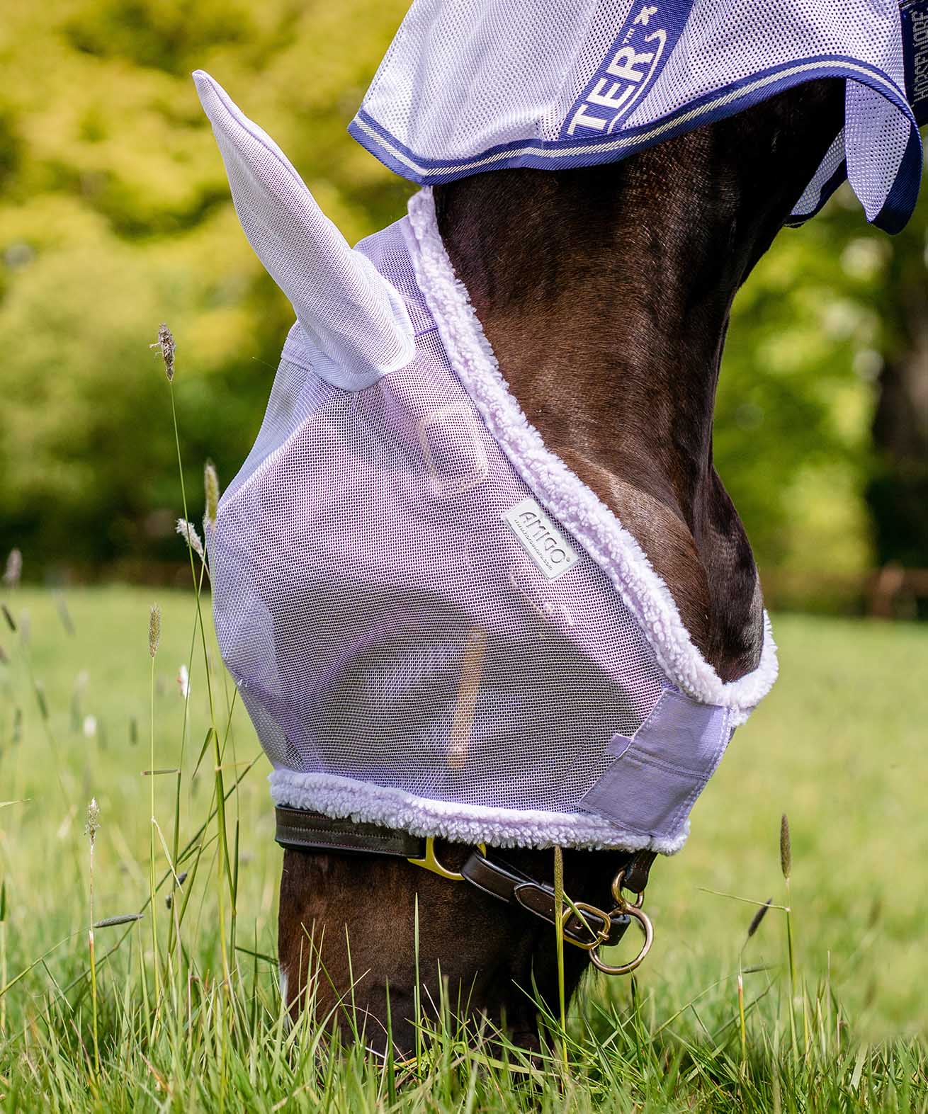 Amigo Horse Fly Mask with Ears, Lavender - Buy Pet Shop