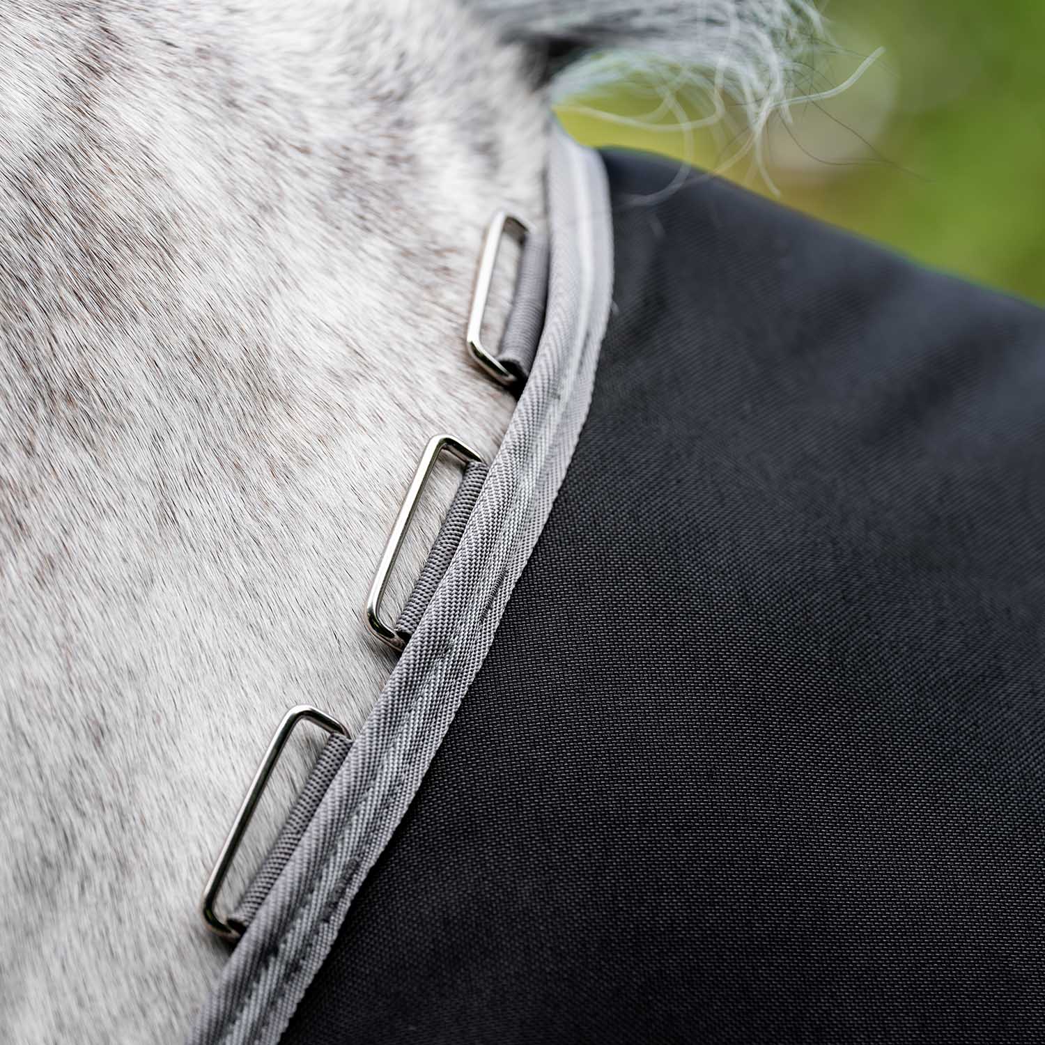 Amigo Bravo 12 Plus Turnout, 250 Gram, Black/Titanium - Buy Pet Shop