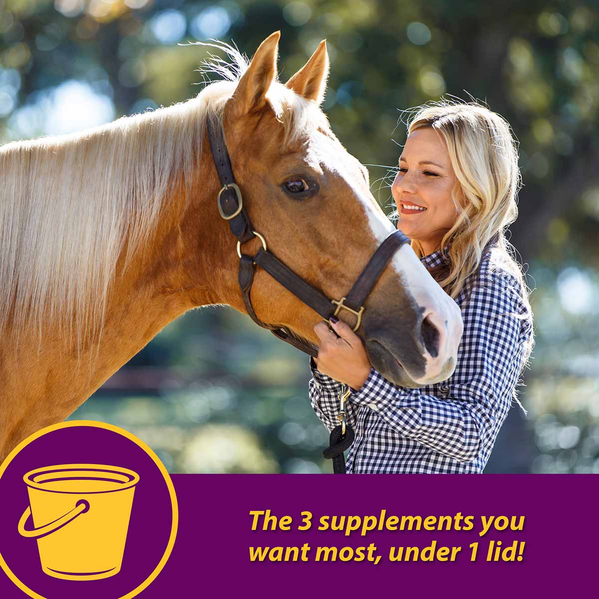 Joint Combo Hoof & Coat Supplement for Horses - Buy Pet Shop