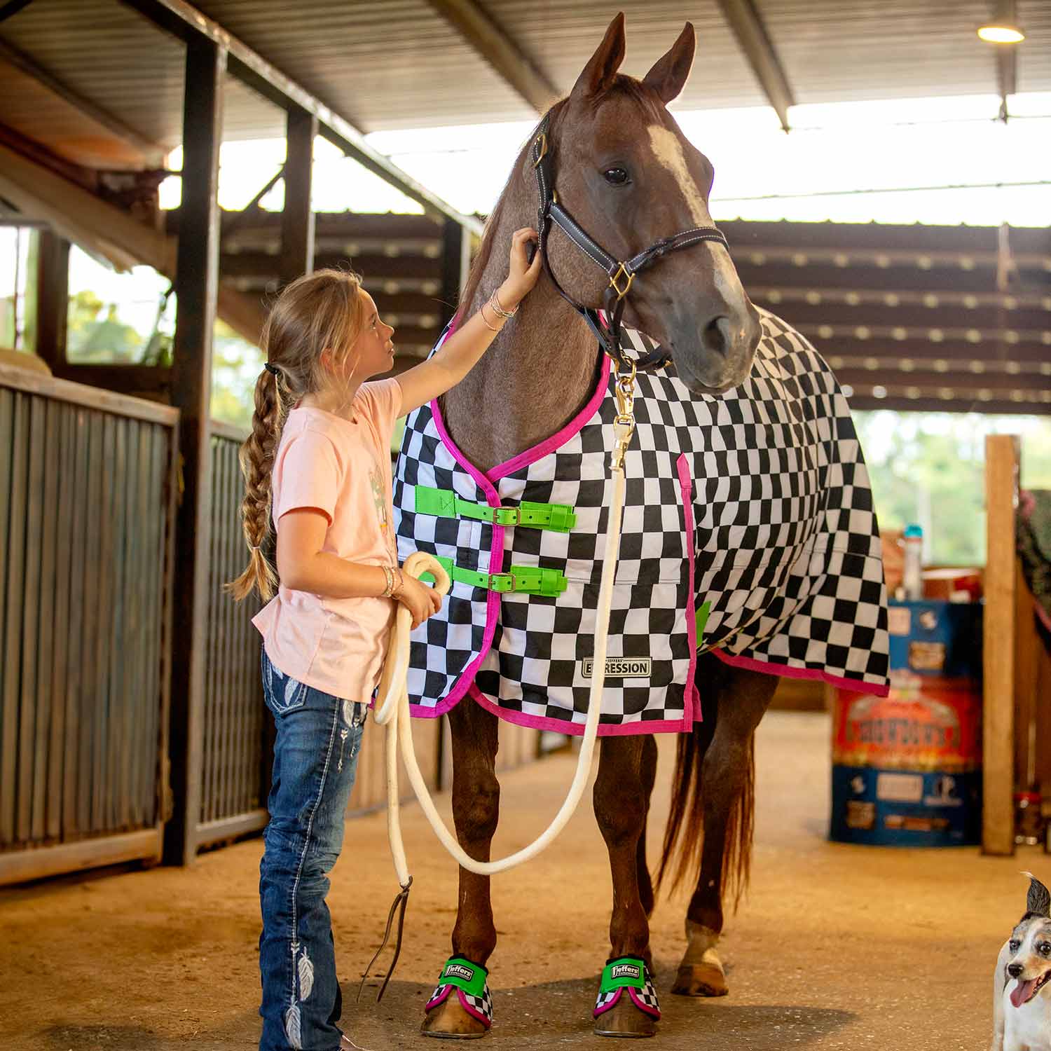 Expression 1200 Denier Standard Neck Turnout Sheet, 0 Gram, Skater Cowgirl - Buy Pet Shop