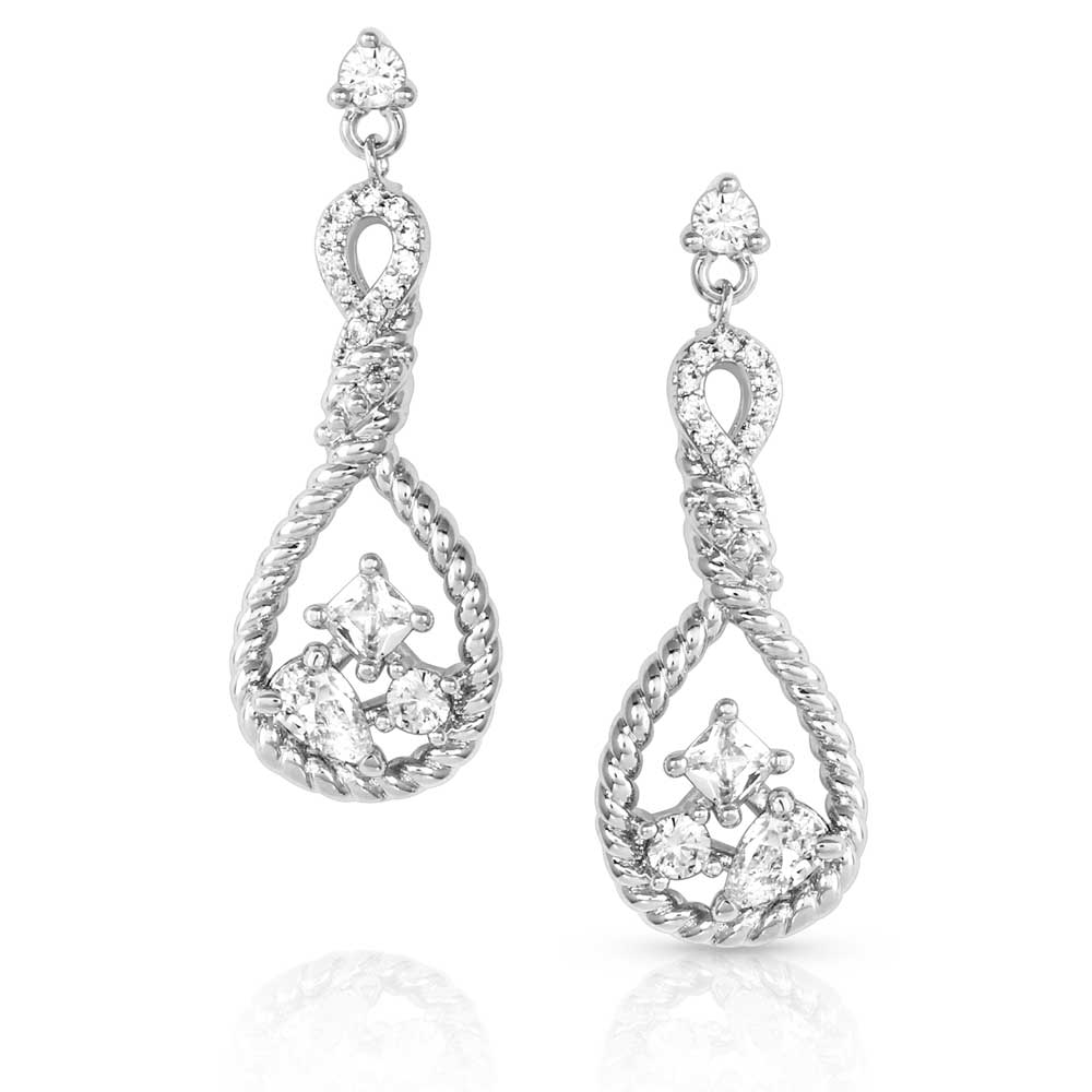 Corralling the Stars Crystal Earrings - Buy Pet Shop