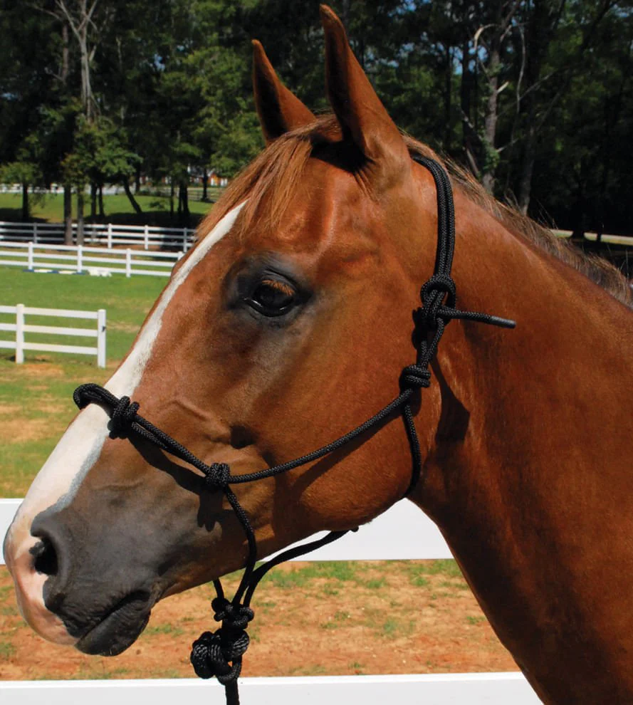 Knotted Rope Horse Training Halter - Buy Pet Shop