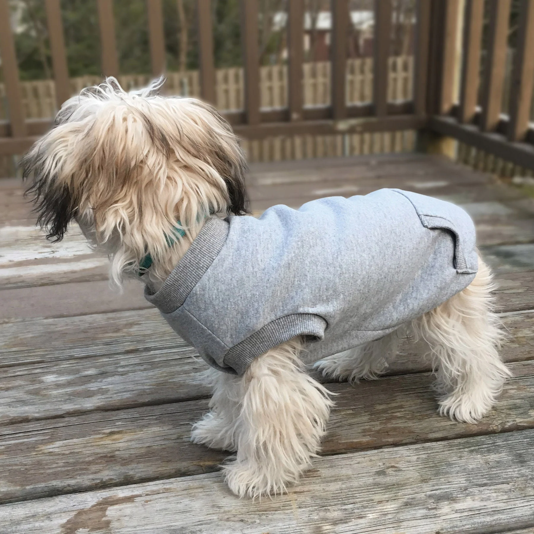 Activewear Sweatshirt - Buy Pet Shop