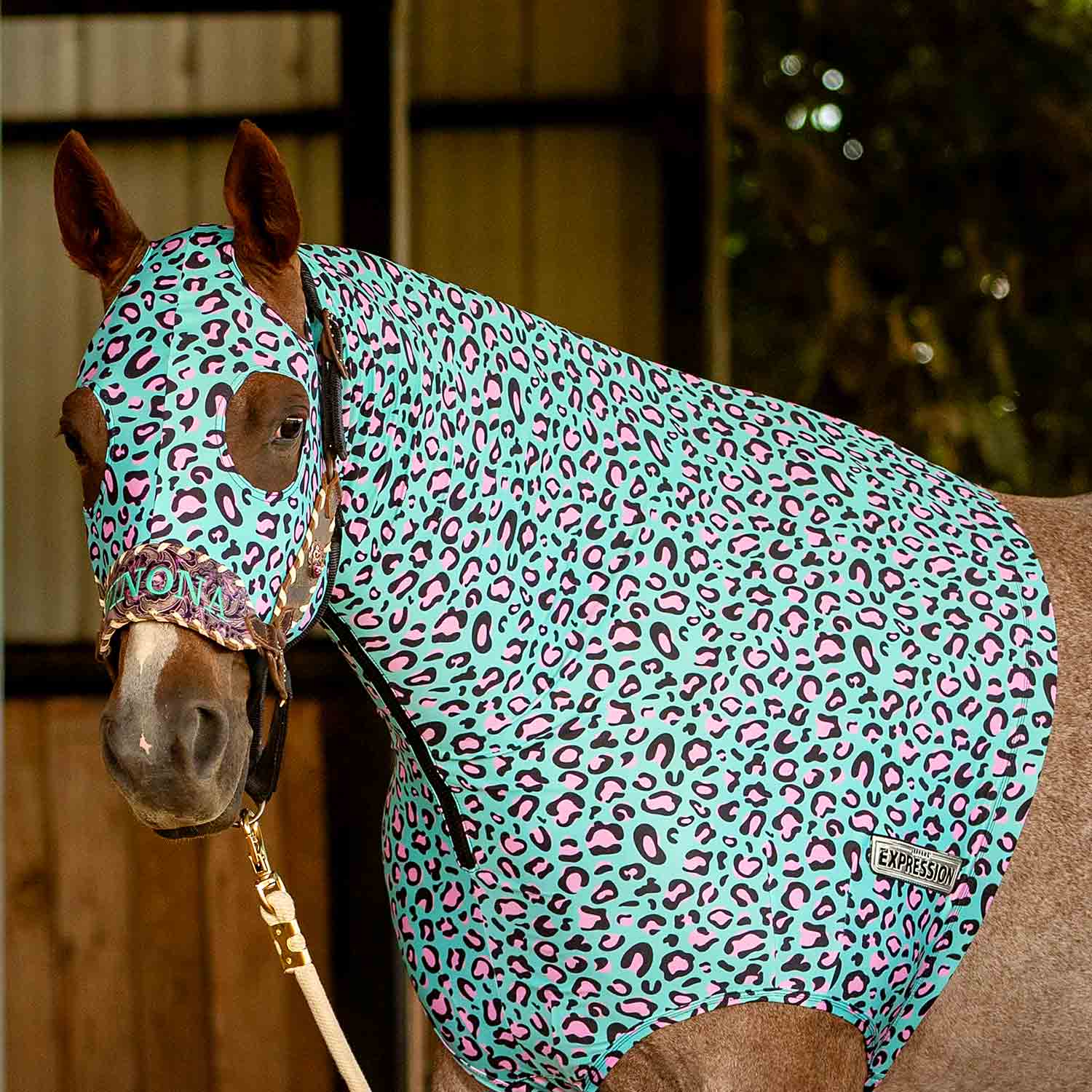 Expression Lycra Hood, Party Cheetah - Buy Pet Shop