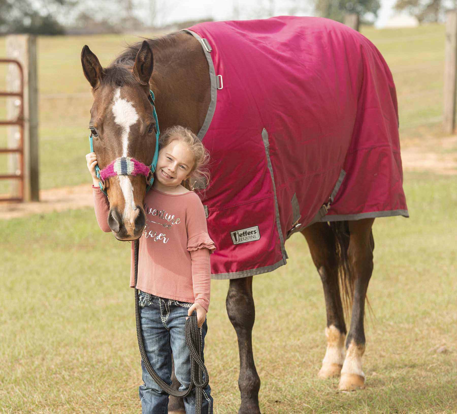 Romper Stomper Horse Turnout Sheet, 1680 Denier, Maroon/Gray - Buy Pet Shop