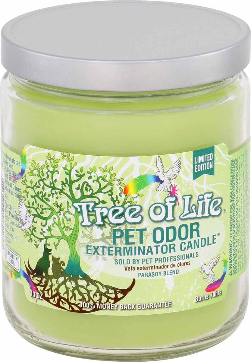 Pet Odor Exterminator Candle, Tree of Life, 13 oz - Buy Pet Shop