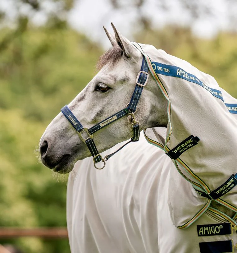 Horseware FieldSafe Halter - Buy Pet Shop
