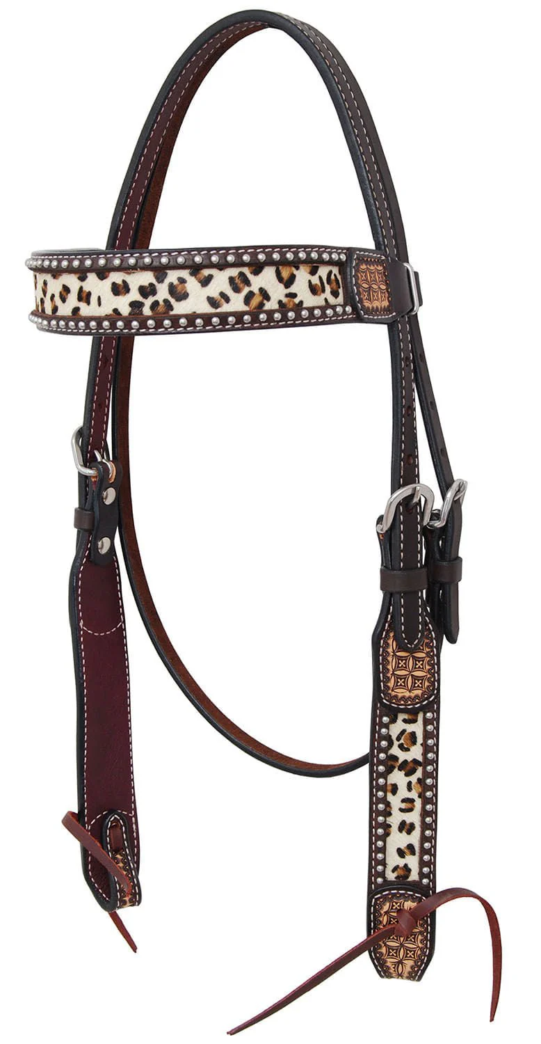 Rafter T Leopard Browband Headstall - Buy Pet Shop