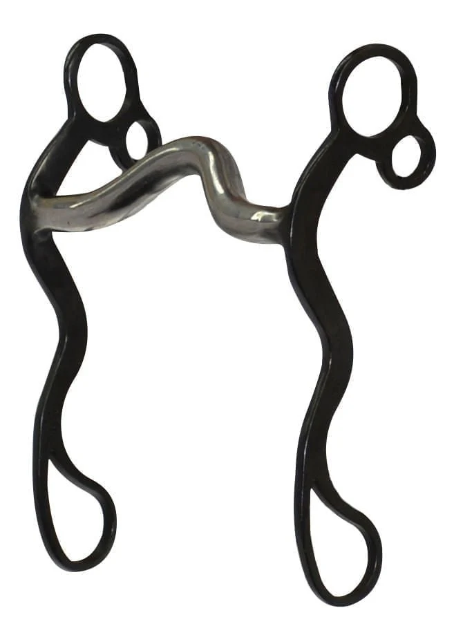 Diamond R Medium Port Cowboy Shank Bit - Buy Pet Shop