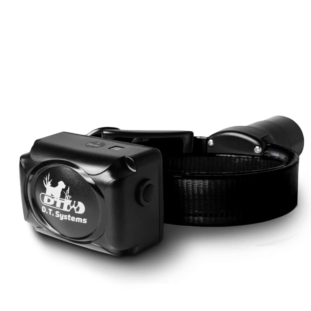 H20 1850 Upland Beeper Add-On Collar, Black - Buy Pet Shop