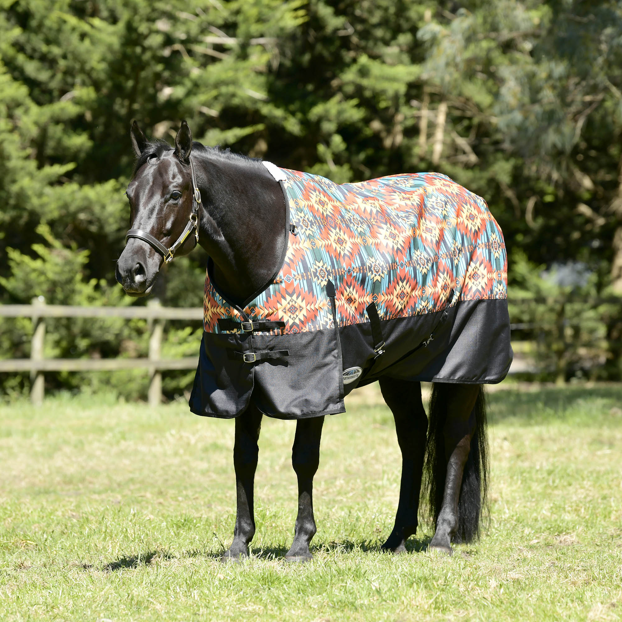 WeatherBeeta ComFITec Essential Standard Neck Turnout Blanket, Medium, Western Sunset Print - Buy Pet Shop