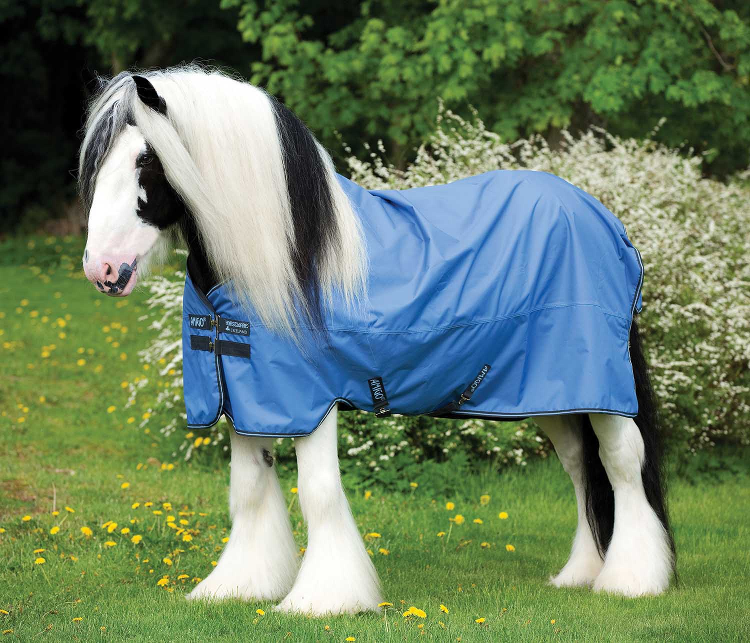 Amigo Hero ACY XL Lite Turnout Blanket, Blue/Gunmetal - Buy Pet Shop