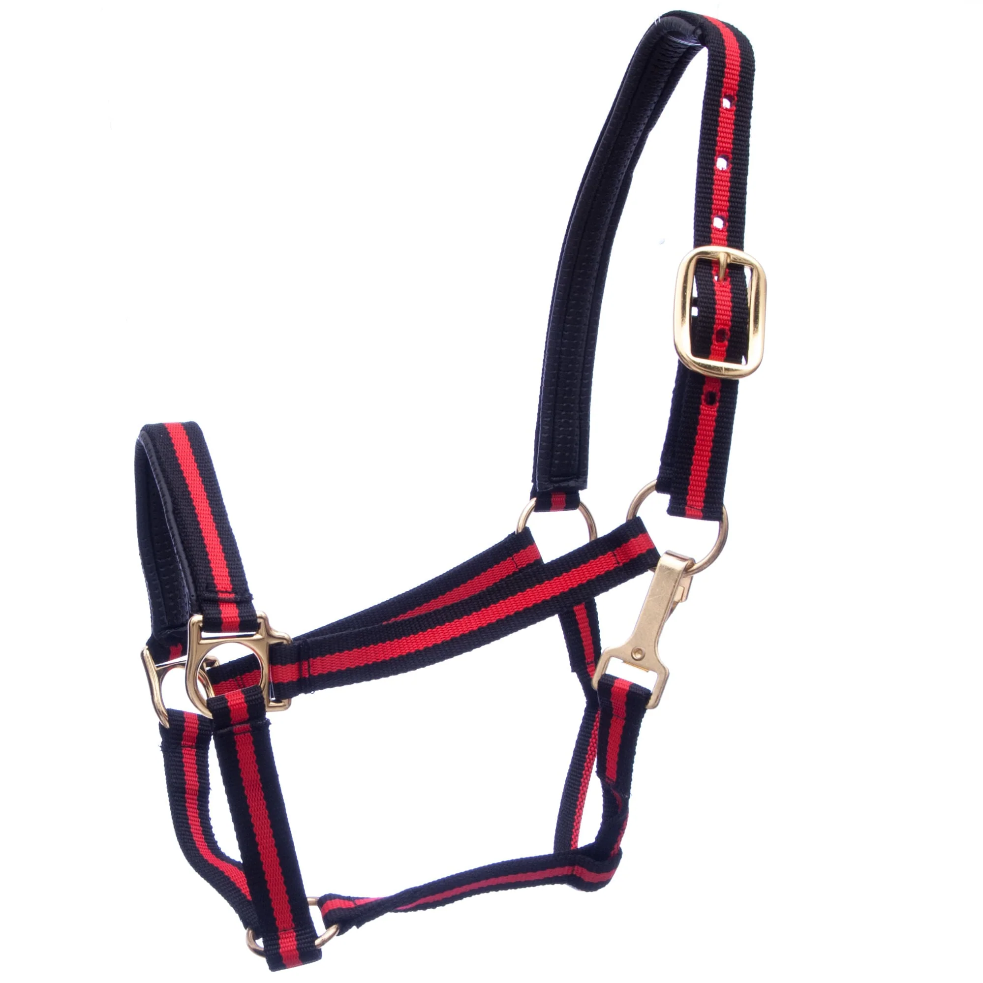 Padded Nylon Horse Halter with Throat Snap - Buy Pet Shop