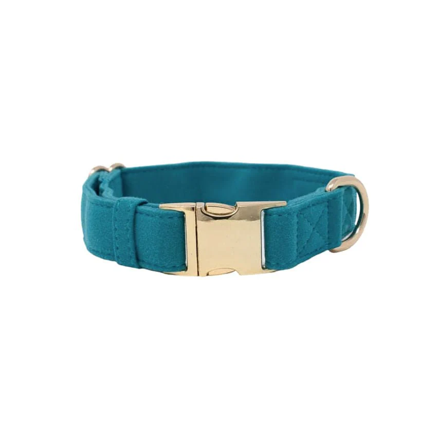 Pink Papyrus Hayden Collar, Teal - Buy Pet Shop