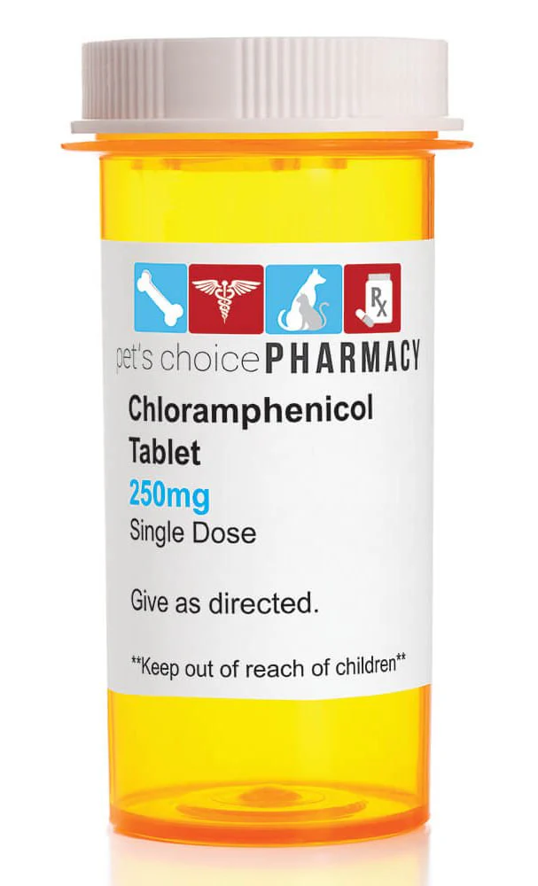 Rx Chloramphenicol (Generic) Tablets for Dogs - Buy Pet Shop
