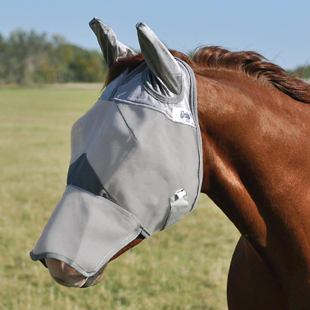 Crusader Fly Mask with Long Nose - Buy Pet Shop