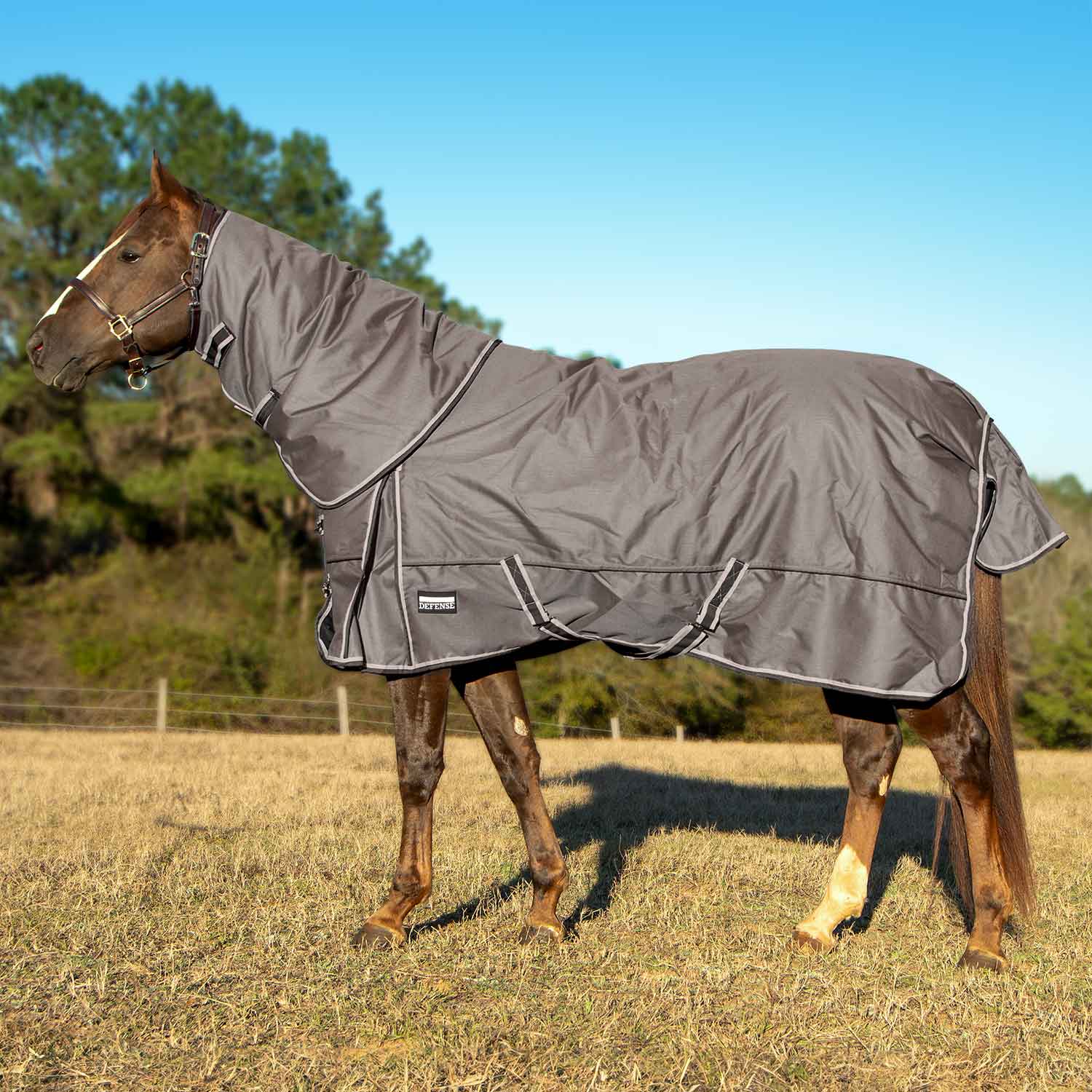 Poplar Head Defense 1680 Denier Turnout Blanket with Detachable Neck, 360 Gram, Plymouth Brown - Buy Pet Shop