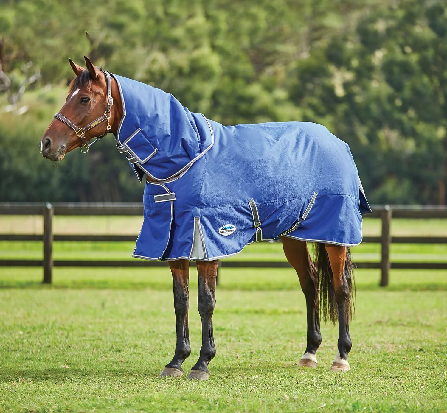 WeatherBeeta ComFITec Premier Free II Detach-a-Neck Medium Horse Blanket - Buy Pet Shop