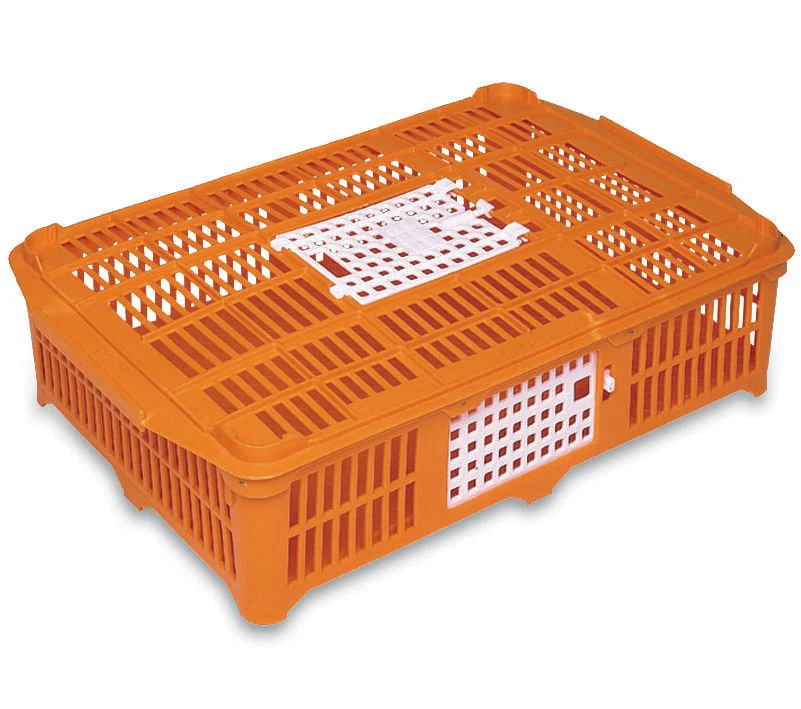 Small Poultry Shipping Crate - Buy Pet Shop