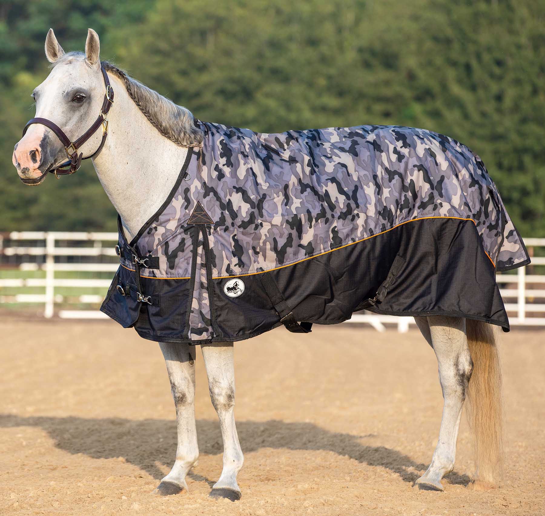 Economy Plus 1200 Denier Standard Neck Turnout Sheet, 0 Gram - Buy Pet Shop