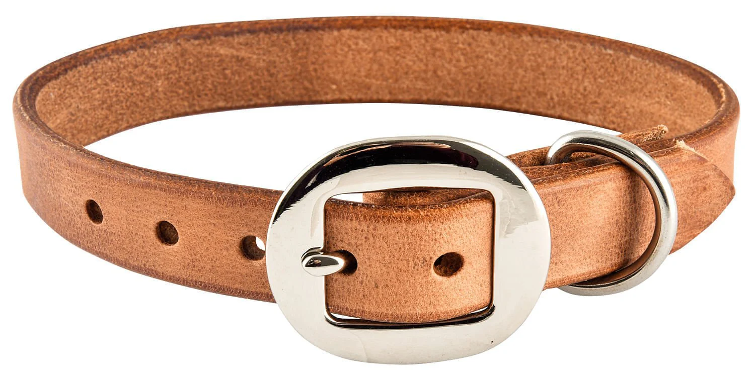 San Saba Dog Collar - Buy Pet Shop