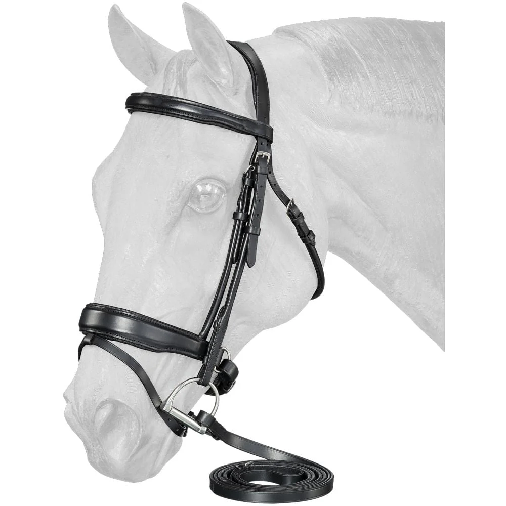 Equitare Cadence Dressage Bridle - Buy Pet Shop