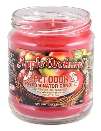 Pet Odor Exterminator Candle, Apple Orchard, 13 oz - Buy Pet Shop