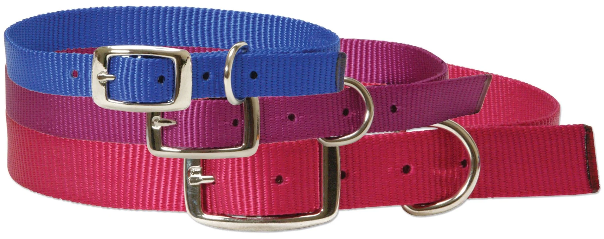 Nanny Goat Collar - Doe - Buy Pet Shop
