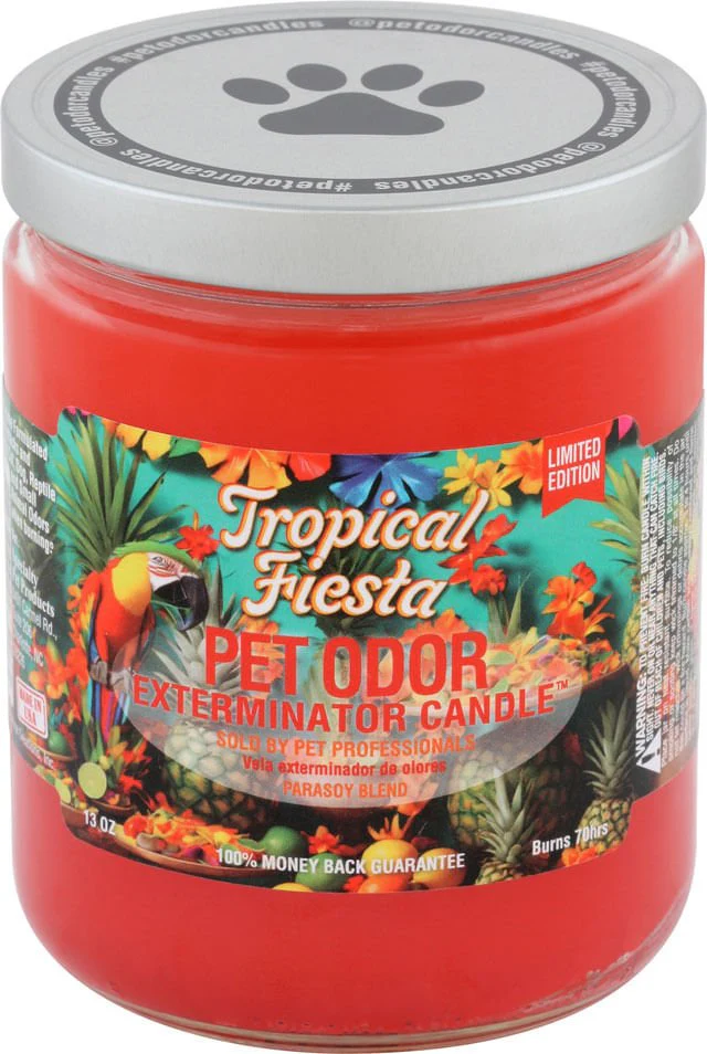 Pet Odor Exterminator Candle, Tropical Fiesta, 13 oz - Buy Pet Shop