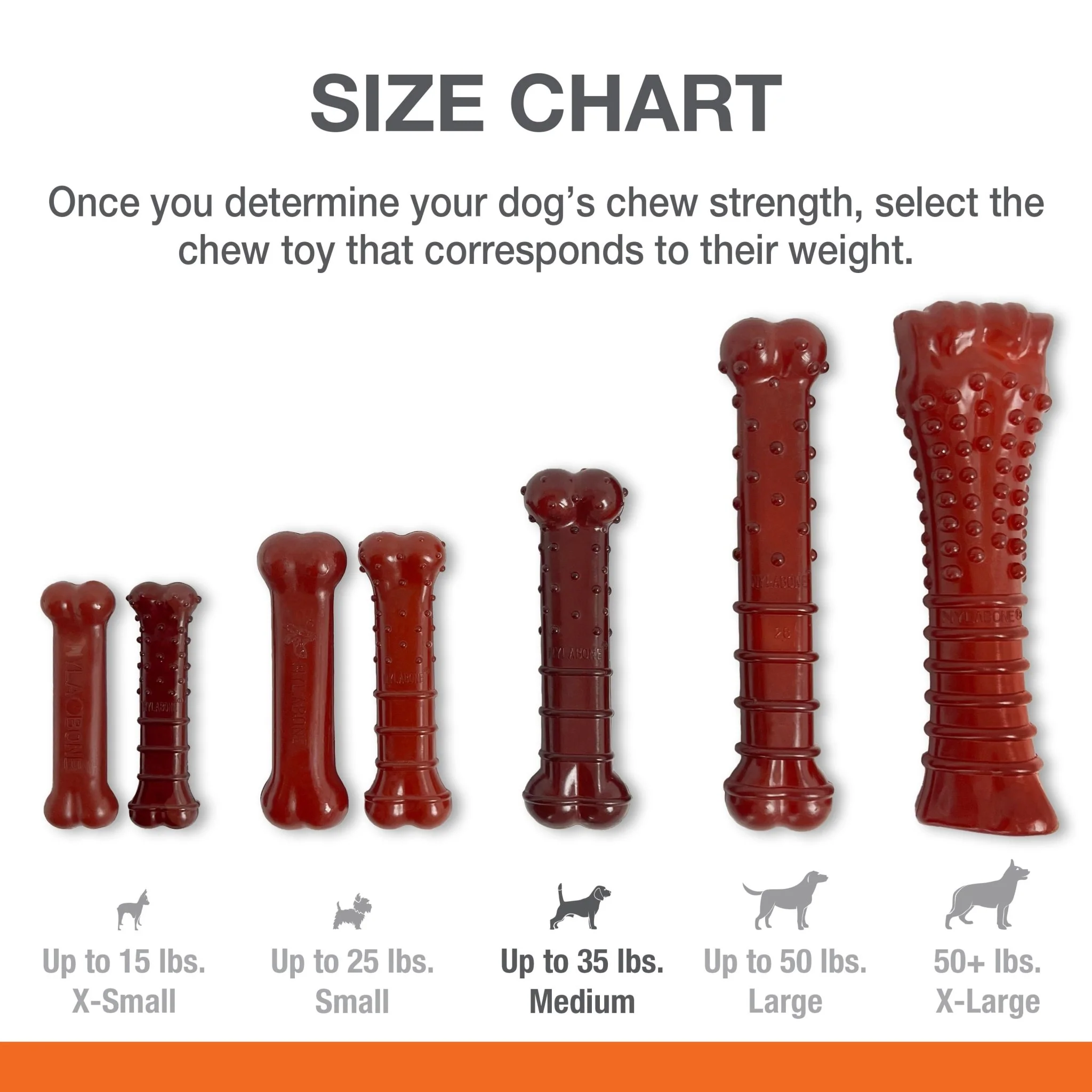 Basted Blast Dual Flavored Power Chew, Bacon Basted Steak - Buy Pet Shop