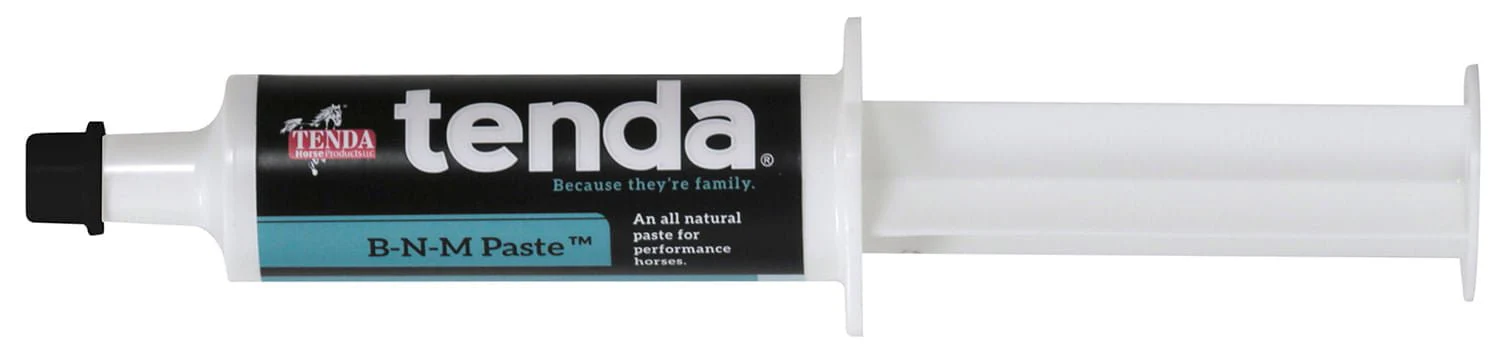 B-N-M Paste, 60 cc Syringe - Buy Pet Shop