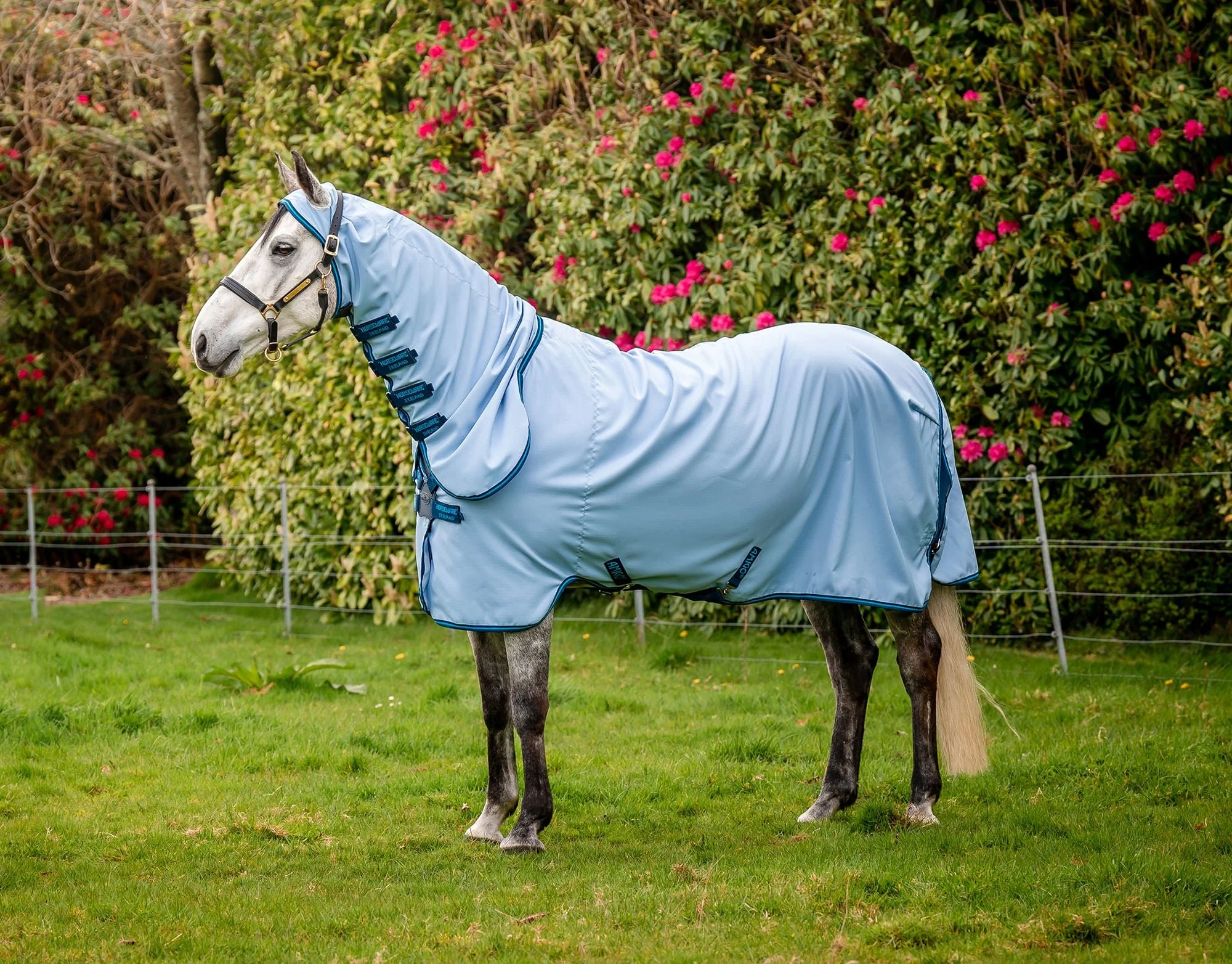 Amigo Ripstop Hoody Horse Fly Sheet - Buy Pet Shop