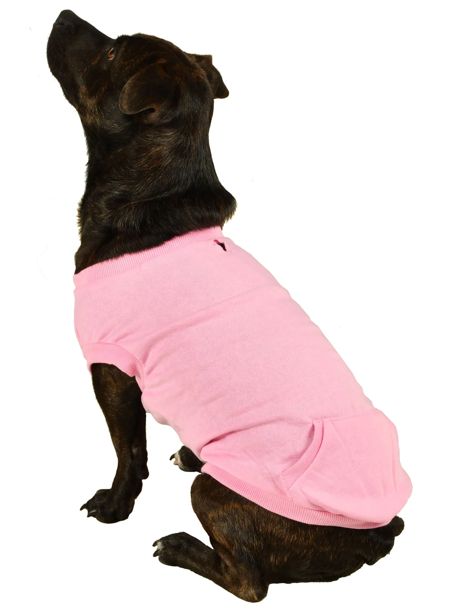 Activewear Sweatshirt - Buy Pet Shop