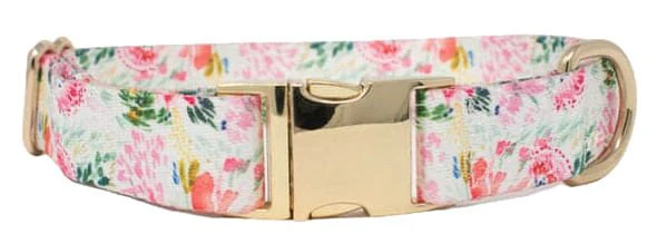 Pink Papyrus Isabella Collar, Floral - Buy Pet Shop