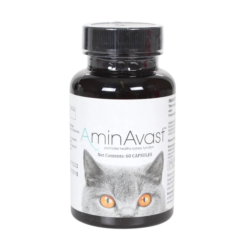 AminAvast for Cats, 60 Capsules - Buy Pet Shop