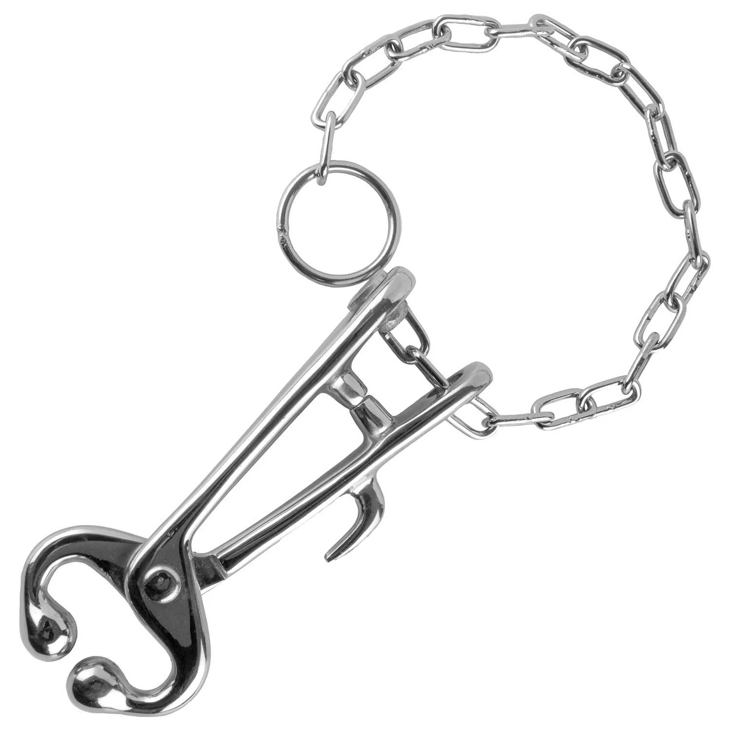 Bull Nose Lead (Cow Nose Pliers) with Chain - Buy Pet Shop