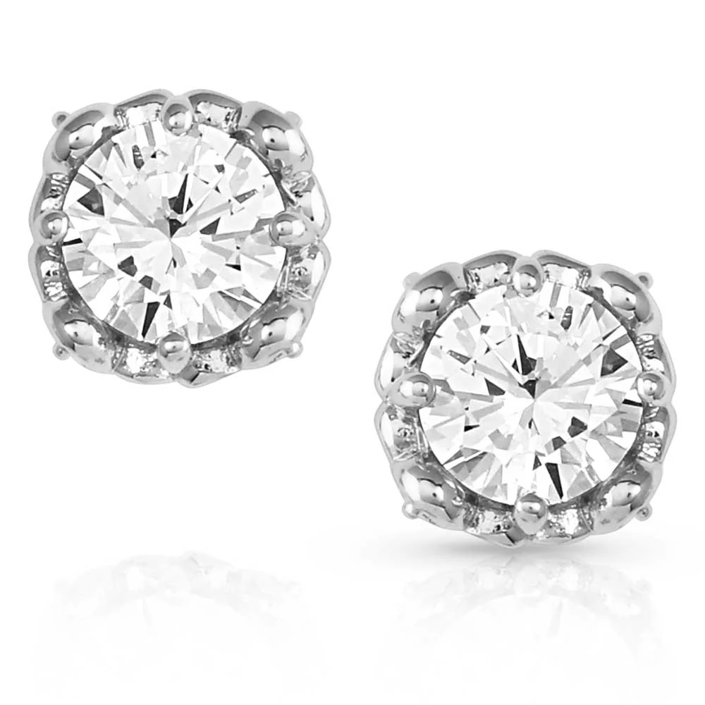 On the Edge Crystal Post Earrings - Buy Pet Shop