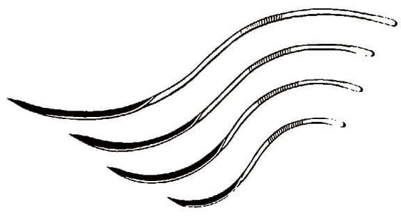 S Curved Needles - Buy Pet Shop