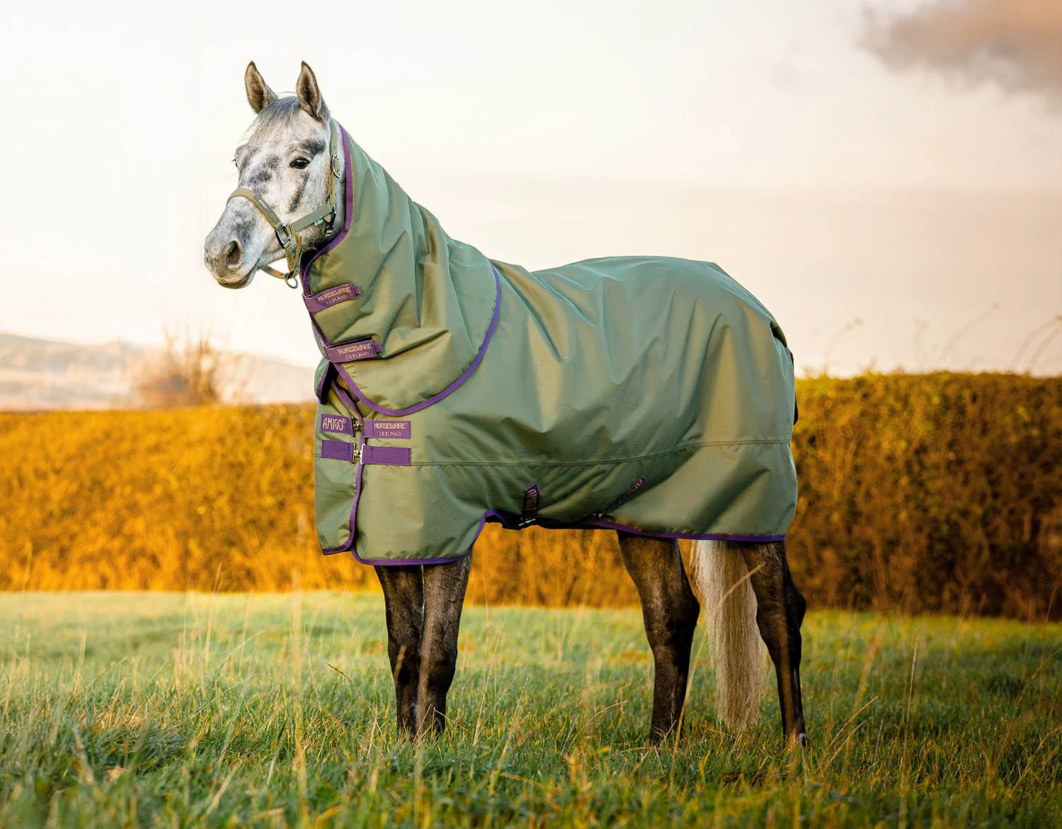 AMIGO Hero Ripstop Plus Medium Weight Turnout Blanket - Buy Pet Shop