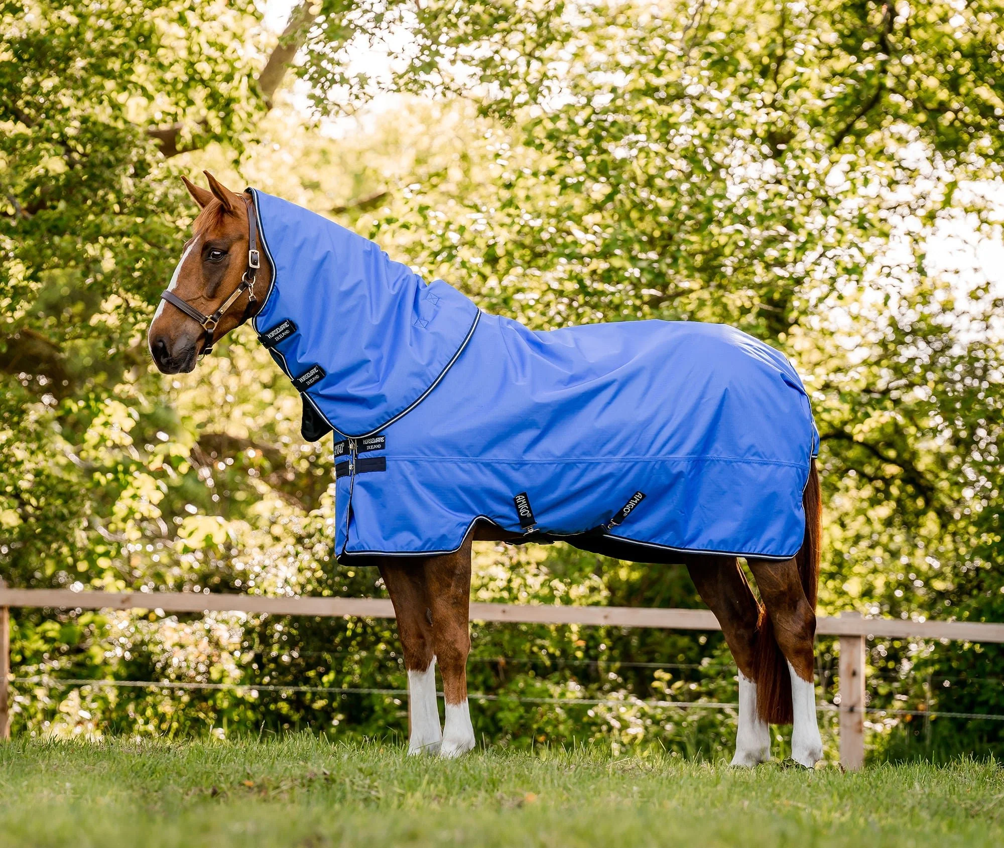 Amigo Hero Ripstop Plus Lightweight Horse Turnout Blanket - Buy Pet Shop