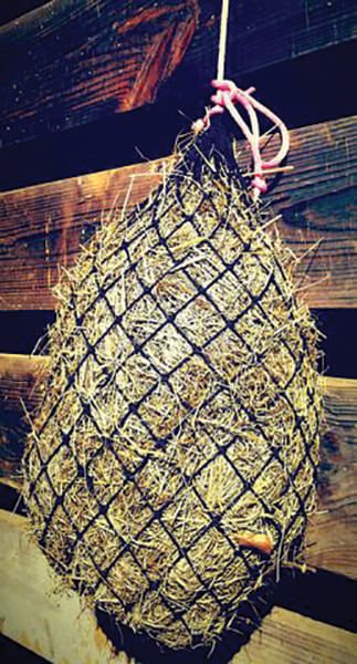 The Small Texas Hay Net Horse Feeder, 1.5 x 1.5 inch holes - Buy Pet Shop