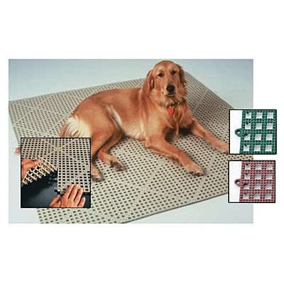 Dri-Dek Roll, 3' x 12' - Buy Pet Shop
